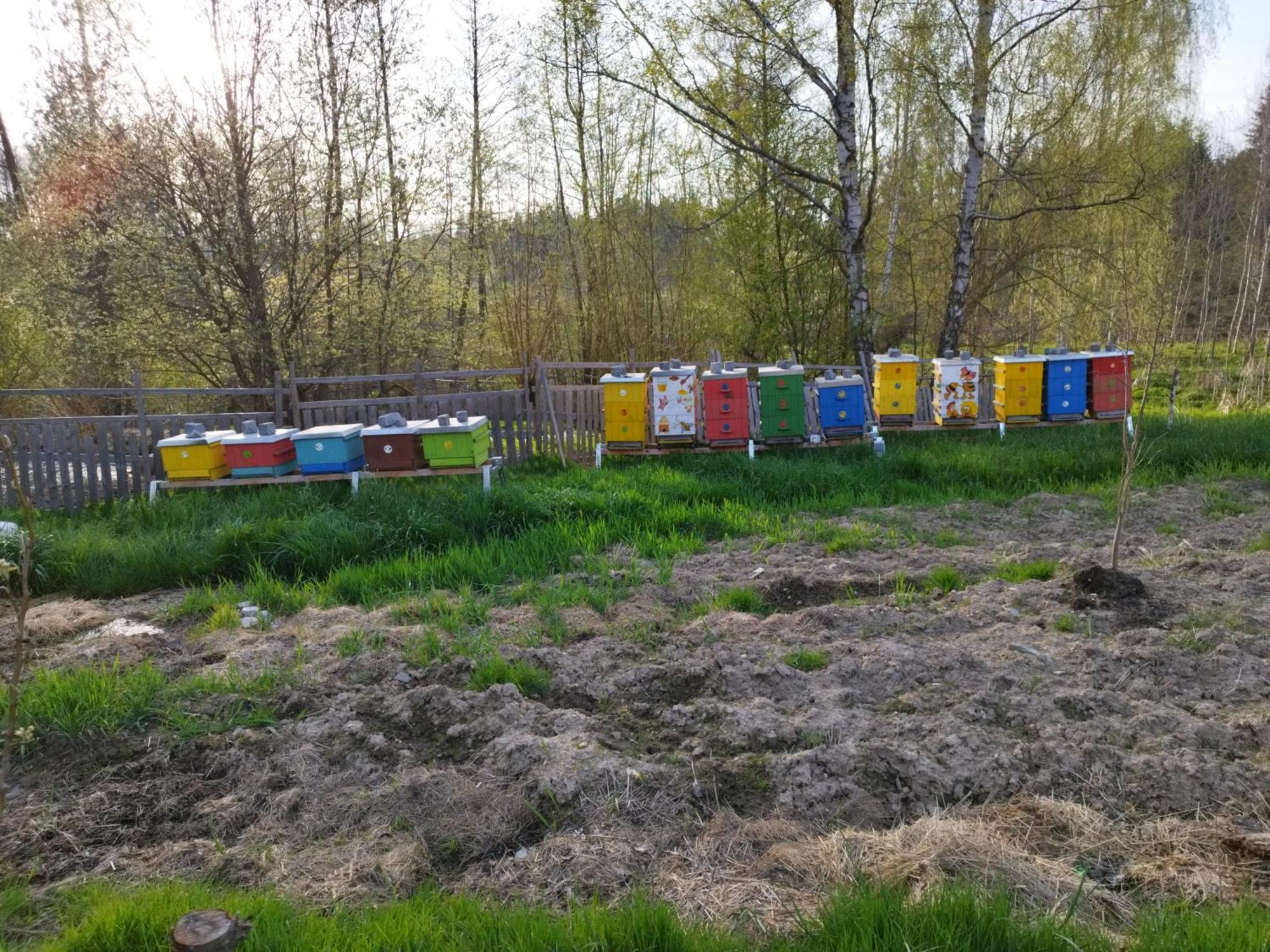 Farma U Lesa Homestay Hlinsko
