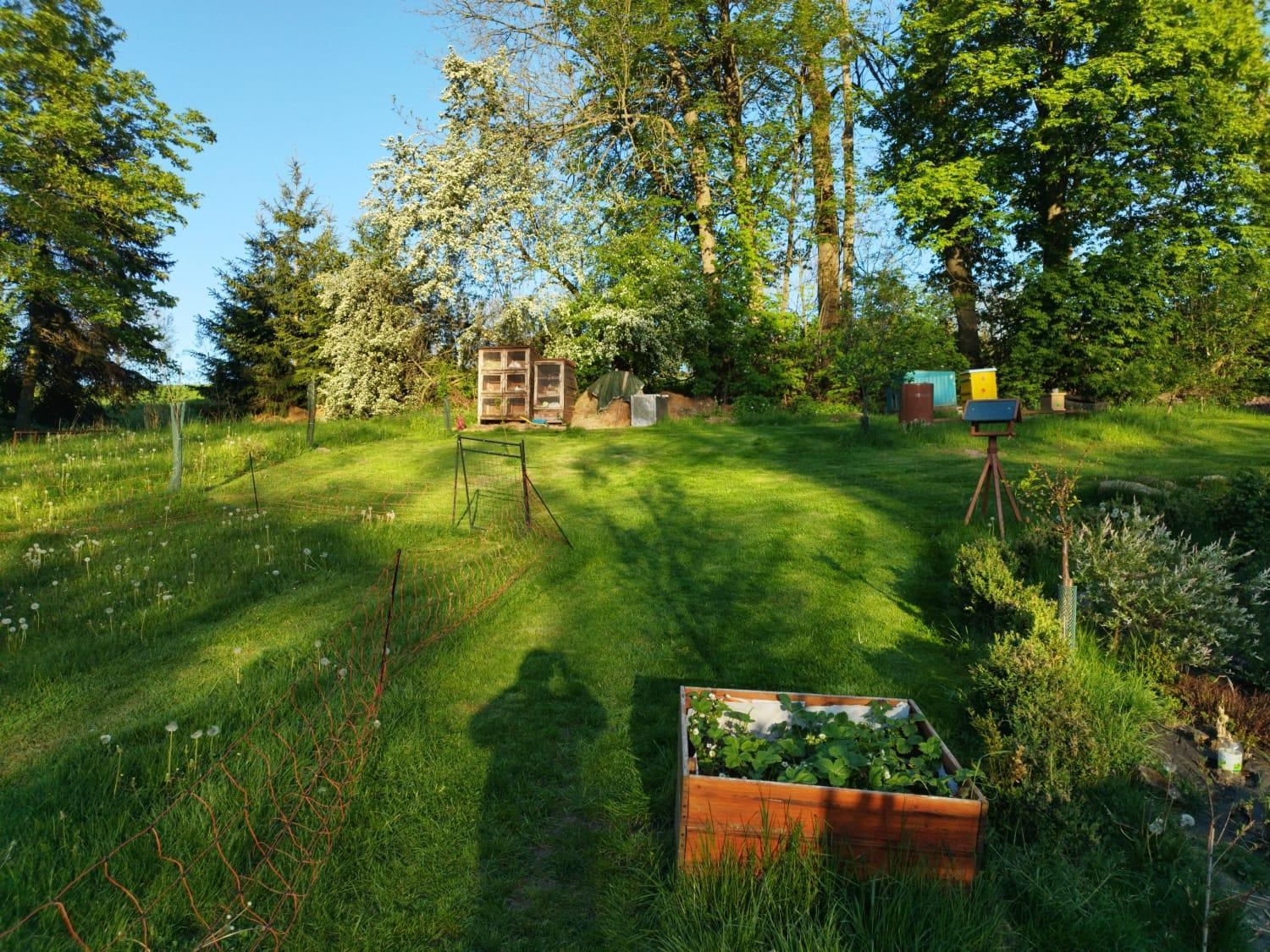 Homestay Farma U Lesa